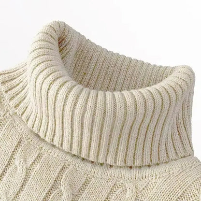 New Turtleneck Sweater Casual Men's Rollneck Knitted Sweater Keep Warm Men Jumper Woolen Sweater