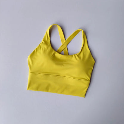 All-in-one Sports Bra Collection Breast High-intensity Professional Shock-proof Huddle Running Bra Yoga Fitness Bra Summer Cloth