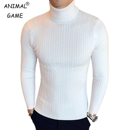 Men's Slim Fit Turtleneck Sweater Casual Twist Patterned Pullover Knitted Sweaters Autumn Outdoor Streetwear Warm Sweaters Men