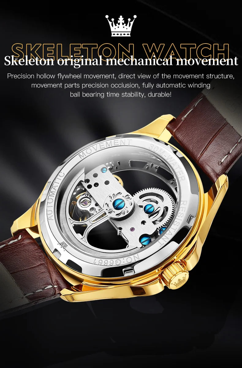 OLEVS Luxury Men Watches Automatic Mechanical Wristwatch Skeleton Design Waterproof Leather Strap Male Watch Reloj Hombre